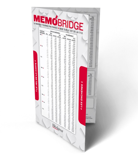 MEMOBRIDGE