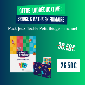 MANUEL PETIT BRIDGE ET LES 2 JEUX FLECHES